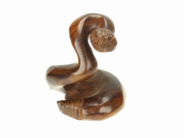 Snake coiled - Ironwood carvings | EarthView