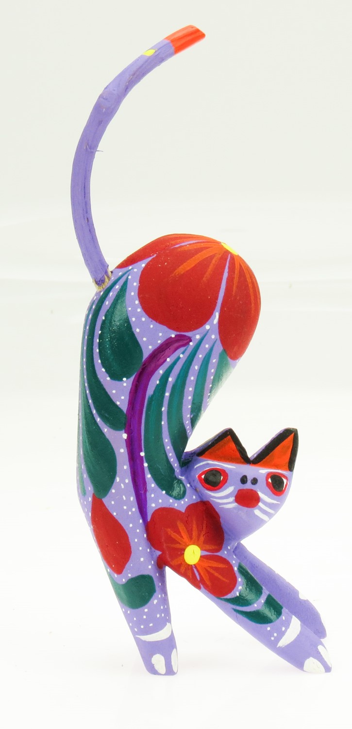 Cat stretching EV-MMV131