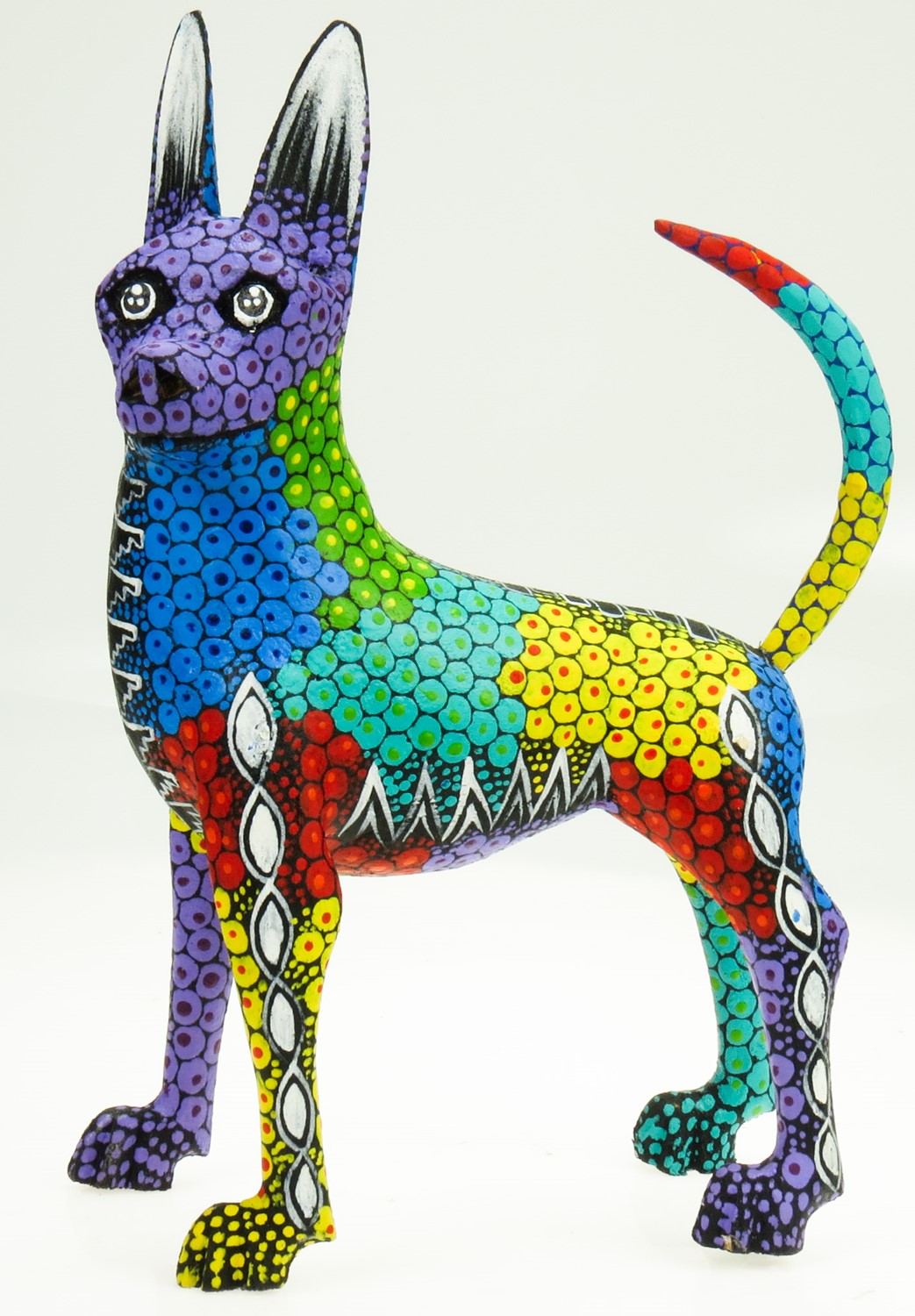 Dog EV-FGH132