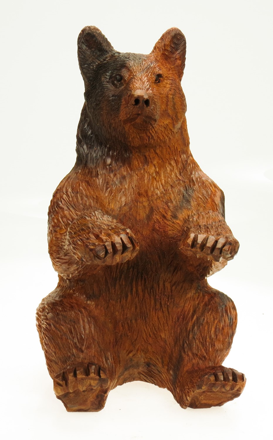Detailed Black Bear sitting EV-1268