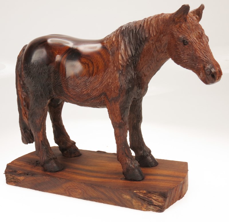 Detailed Horse EV-1818