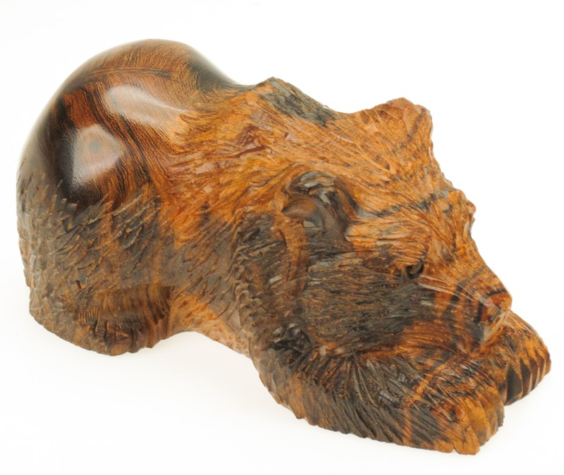 Detailed Resting Bear EV-1076