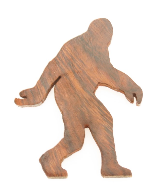 Bigfoot Silhouette Magnet EV-9118