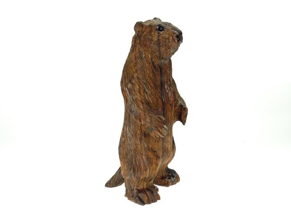 Marmot - Ironwood Carving  |  EarthView