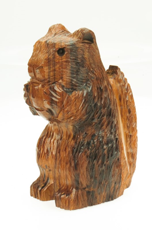 Detailed Squirrel EV-3166