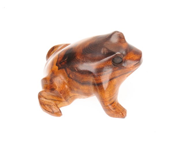 Bullfrog - Ironwood Carving  |  EarthView