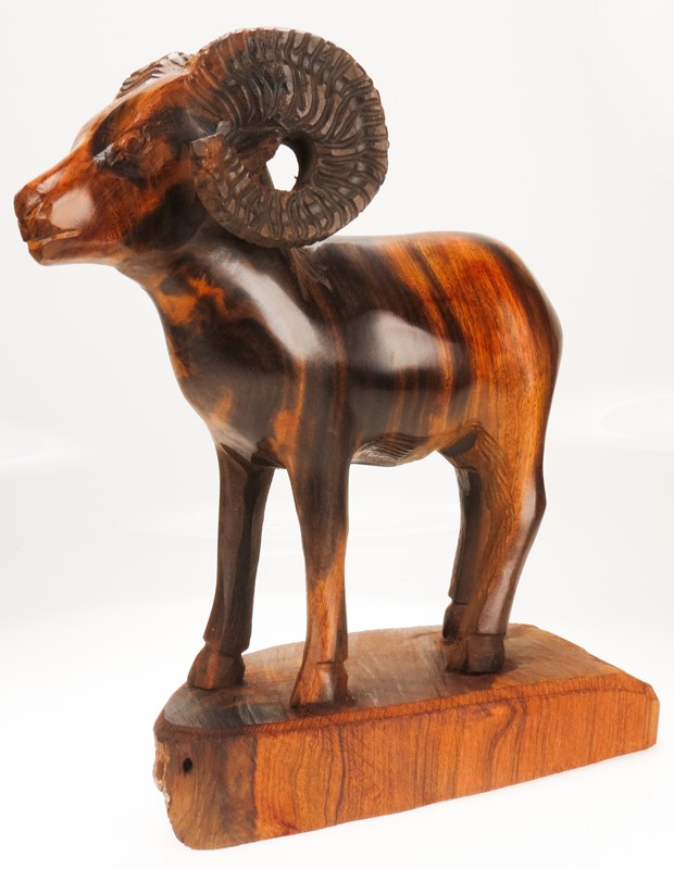 Bighorn Sheep