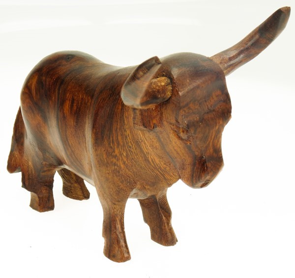 Texas Longhorn