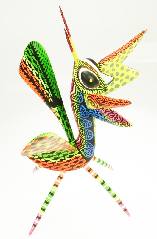 Praying Mantis