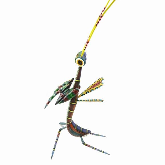 Praying Mantis