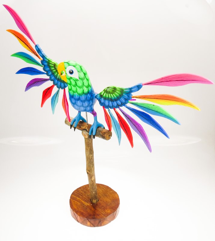 Parrot on stand