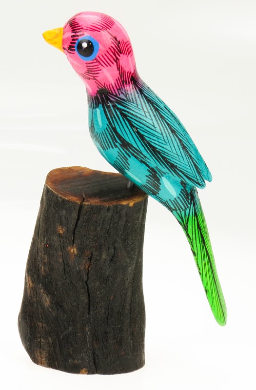 Bird on stump