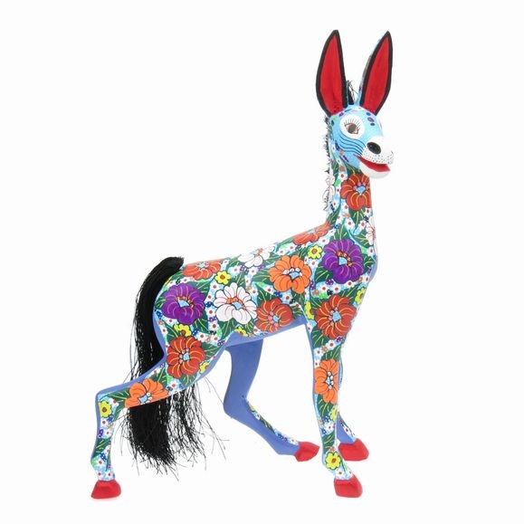Burro