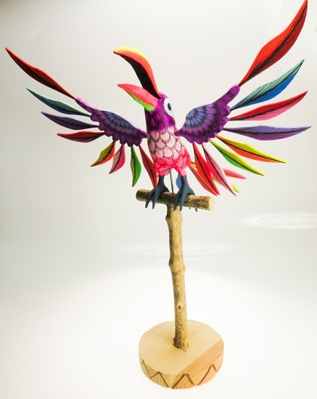 Toucan