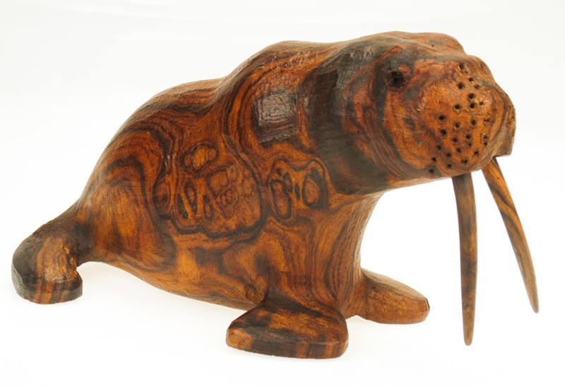 Walrus