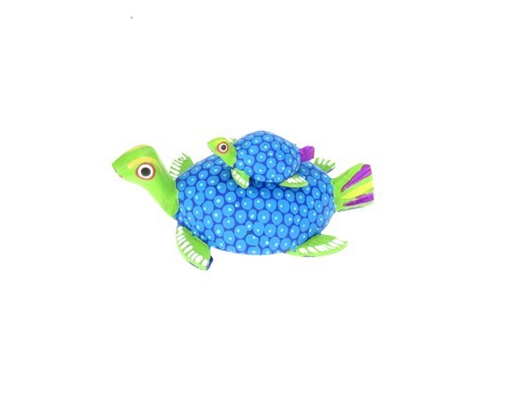 Sea Turtle with baby