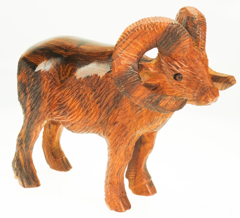 Dahl Sheep