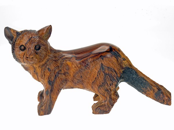 Cat with detail