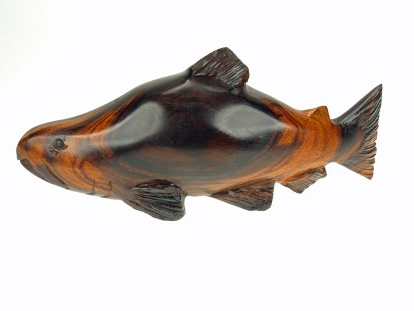 Salmon with detail