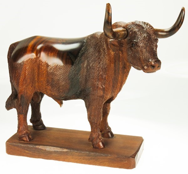 Bull with detail