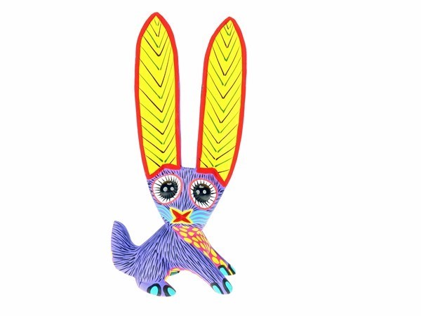 Jackrabbit sitting