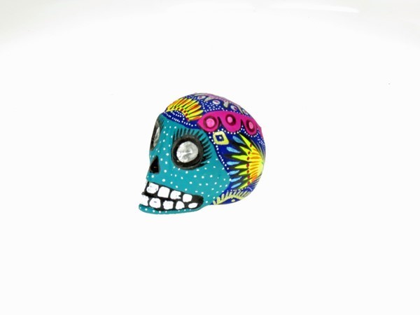 Skull