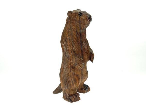 Marmot