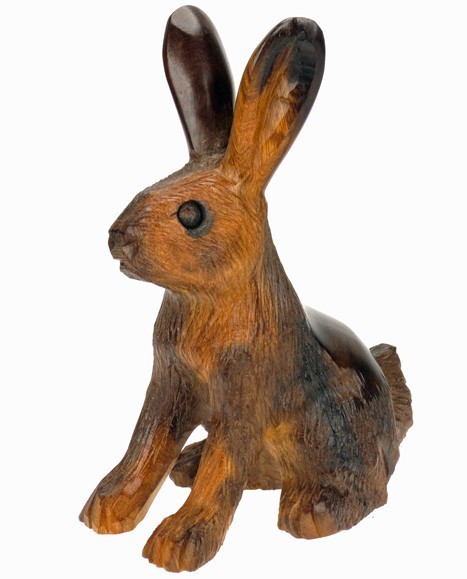 Jackrabbit