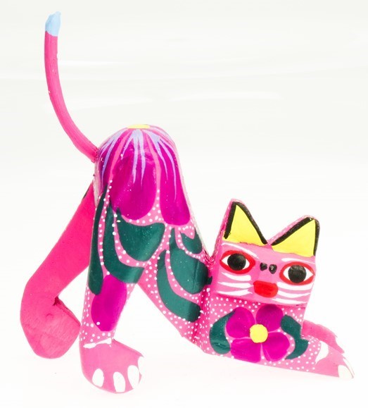 Cat arching