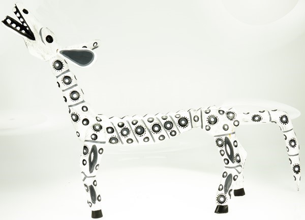 Skeleton Burro
