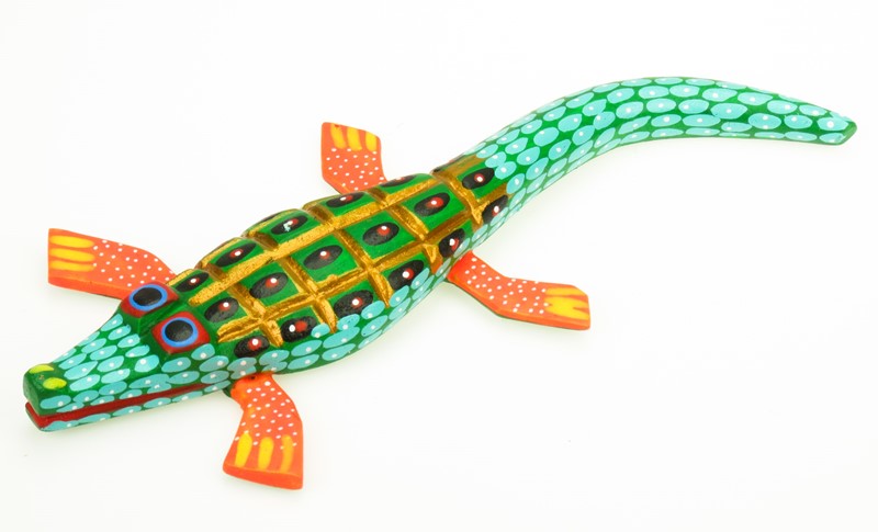 Alligator