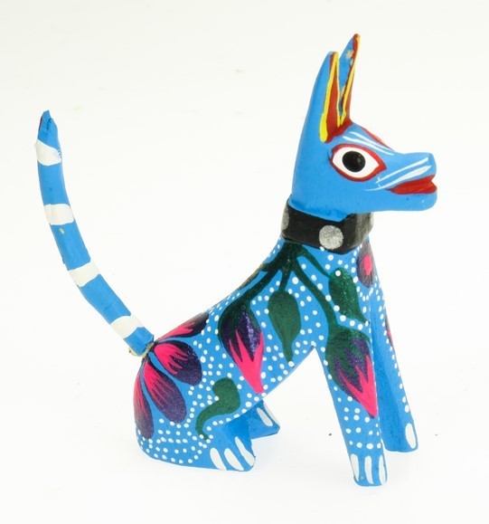 Dog with collar
