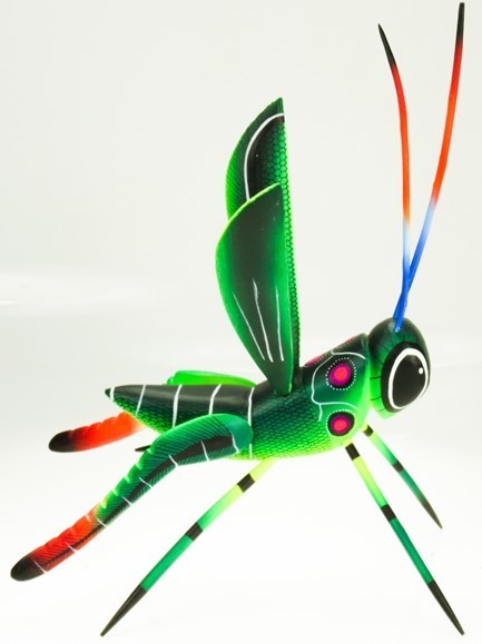 Grasshopper