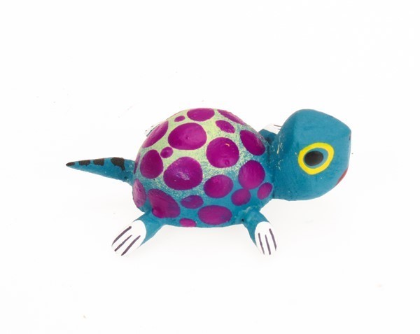 Turtle Magnet