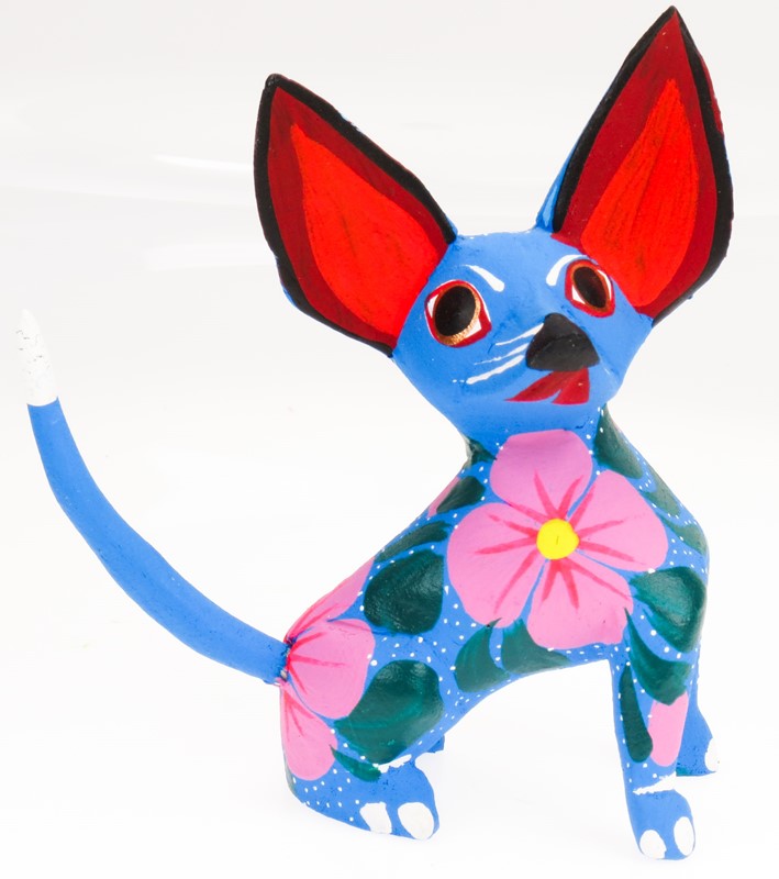 Chihuahua