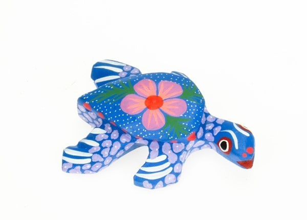 Sea Turtle
