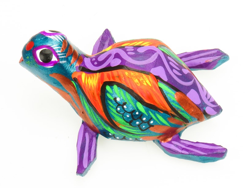 Sea Turtle
