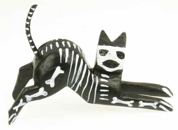 View Skeleton Cat
