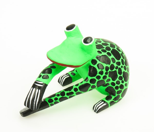 View Frog