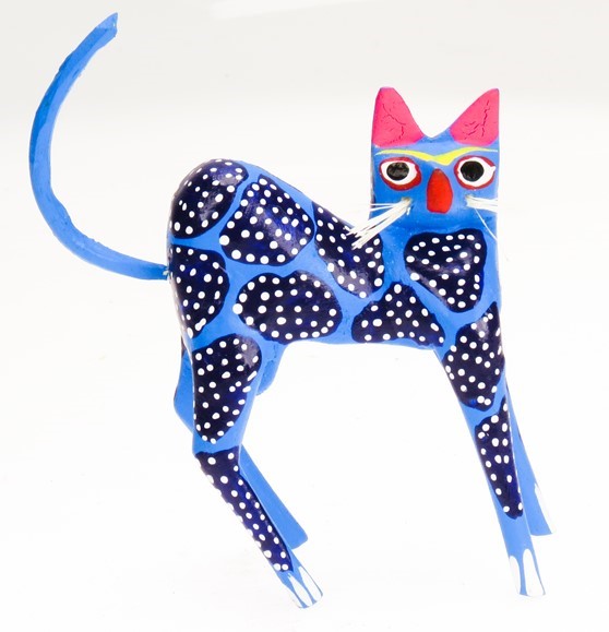 View Cat with Whiskers