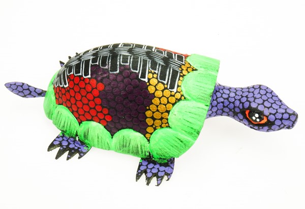 View Land Turtle