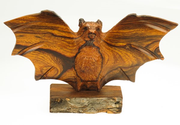 View Bat