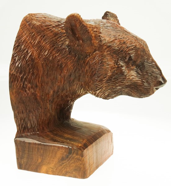 View Black Bear Bust