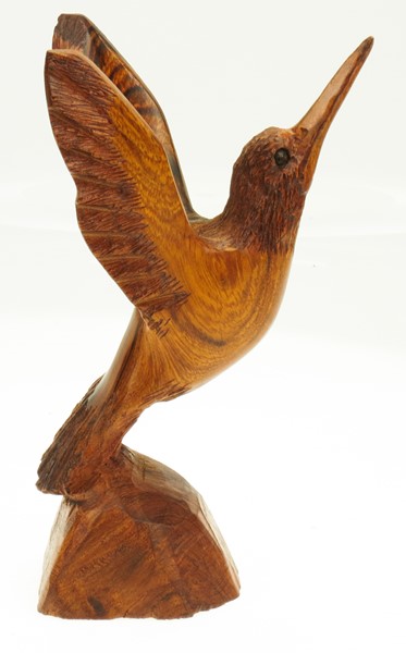 View Detailed Hummingbird