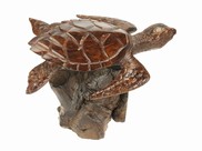 View Sea Turtle on rustic base