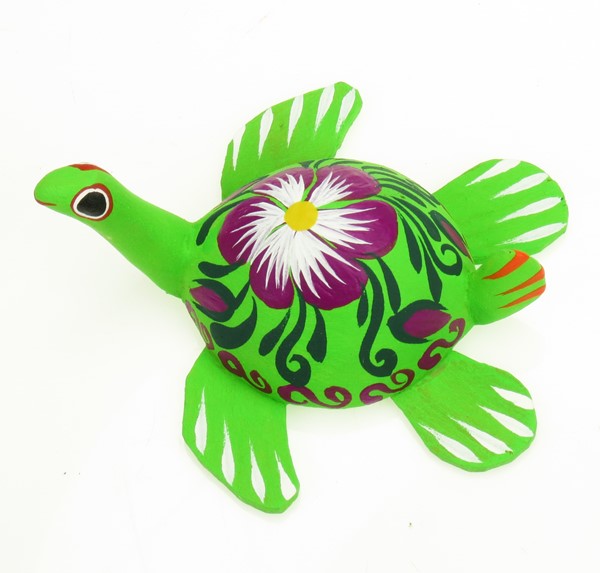 View Sea Turtle