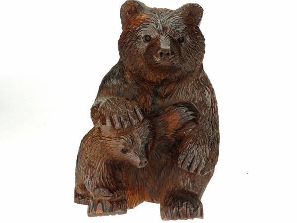 View Bear sitting with cub