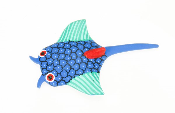 View Manta Ray