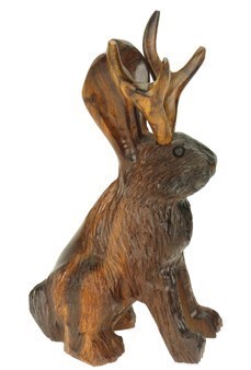 View Jackalope