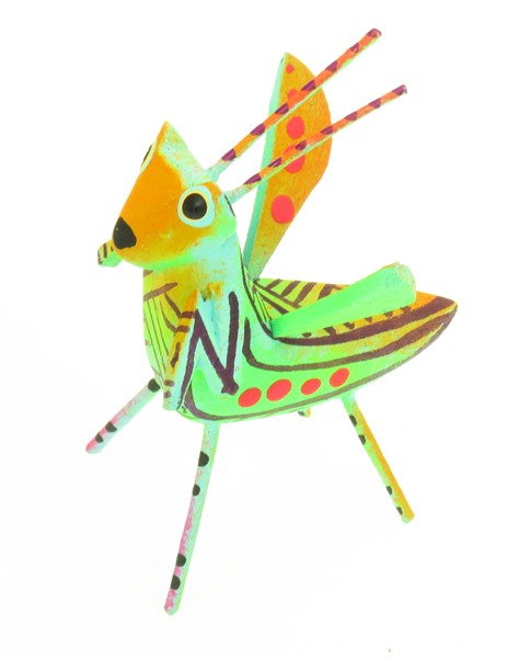 View Praying Mantis